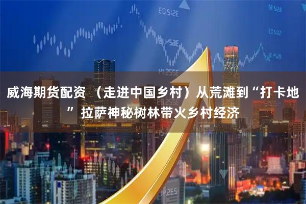 威海期货配资 （走进中国乡村）从荒滩到“打卡地” 拉萨神秘树林带火乡村经济