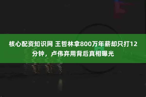 核心配资知识网 王哲林拿800万年薪却只打12分钟，卢伟弃用背后真相曝光